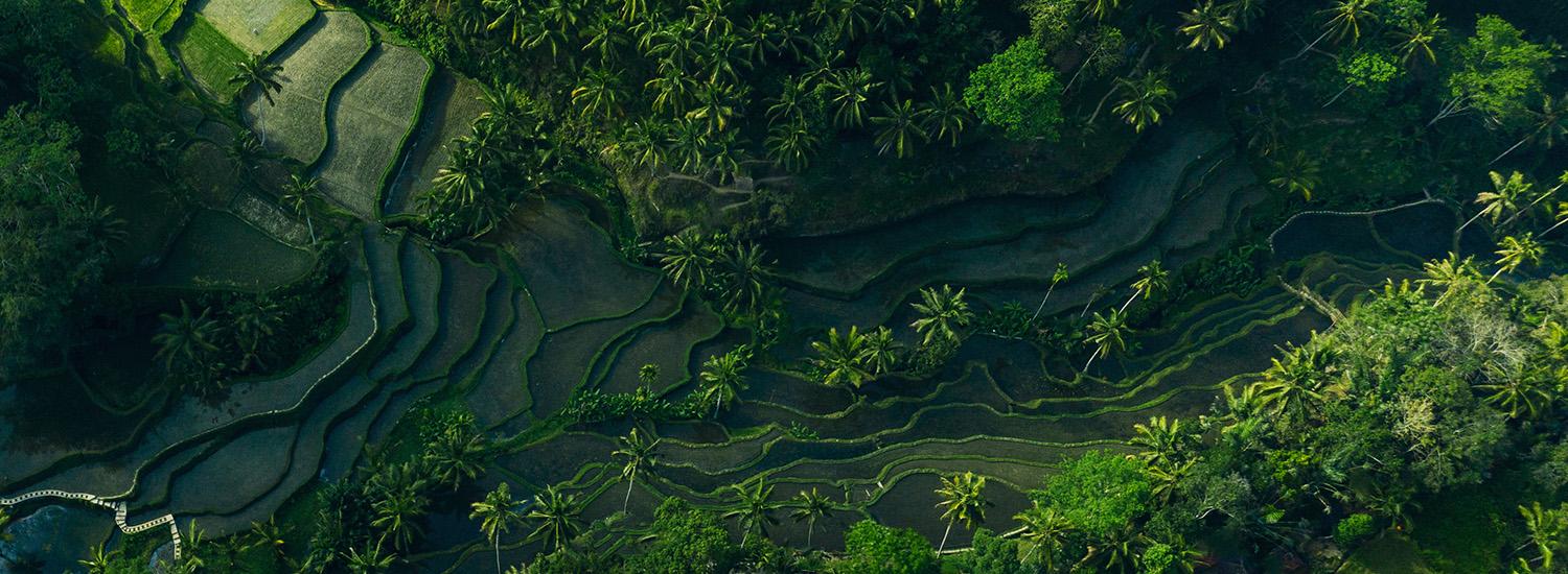 hero image for travel ideas detail