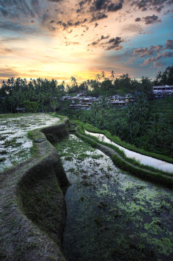 Desa Budaya Kertalangu