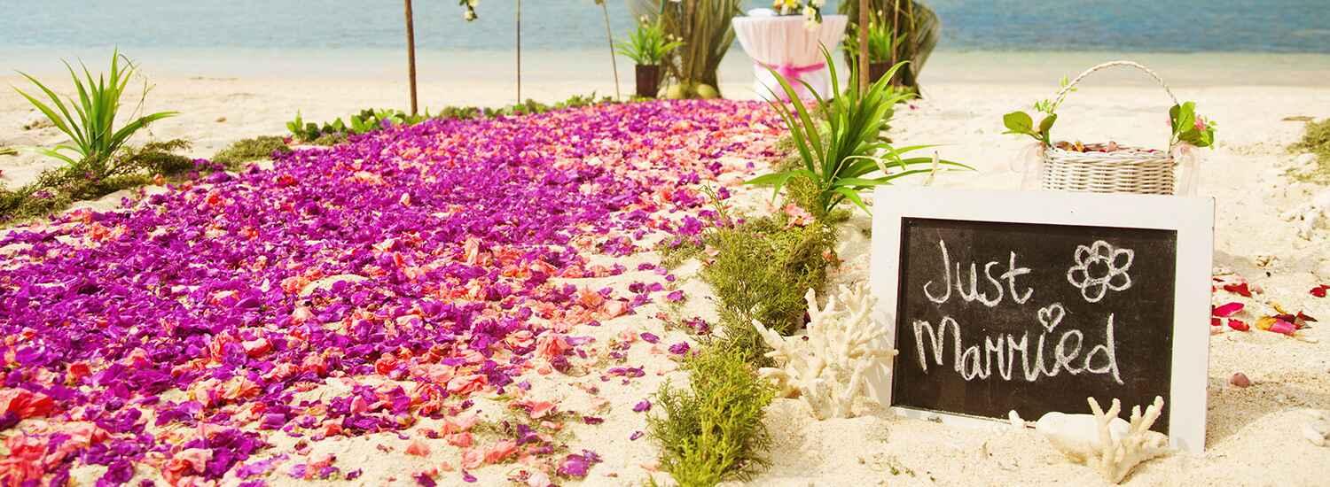 hero image for travel ideas detail