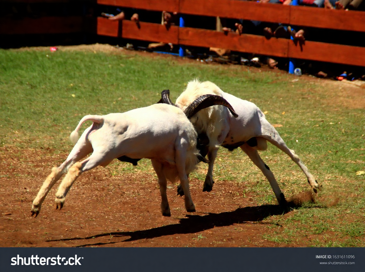 hero image for travel ideas detail