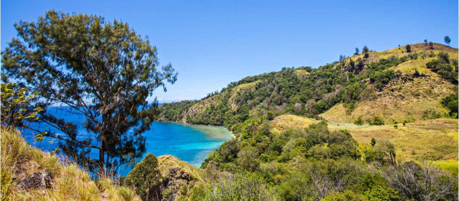 hero image for travel ideas detail