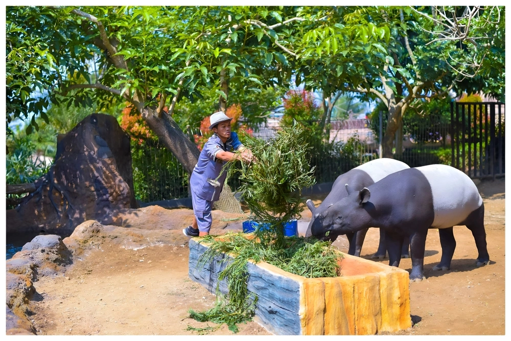 Kenali Tapir Asia, Hewan Unik yang Terancam Punah