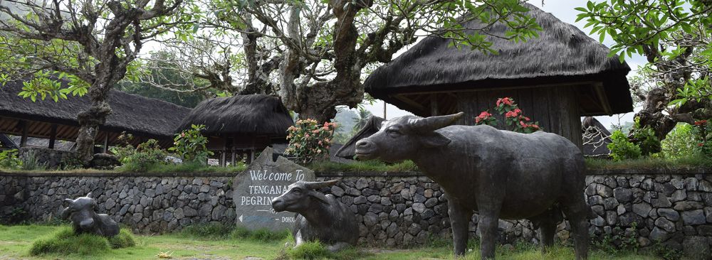 hero image for travel ideas detail