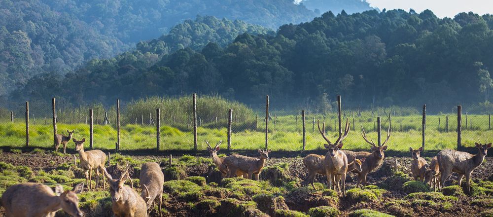 hero image for travel ideas detail