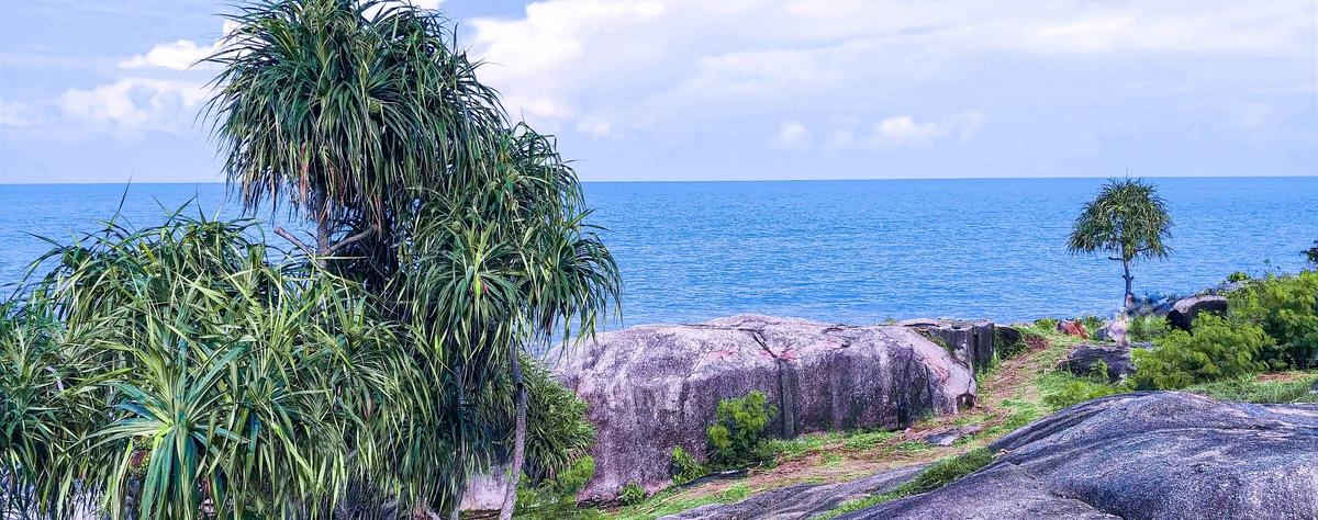 rat island pulau tikus