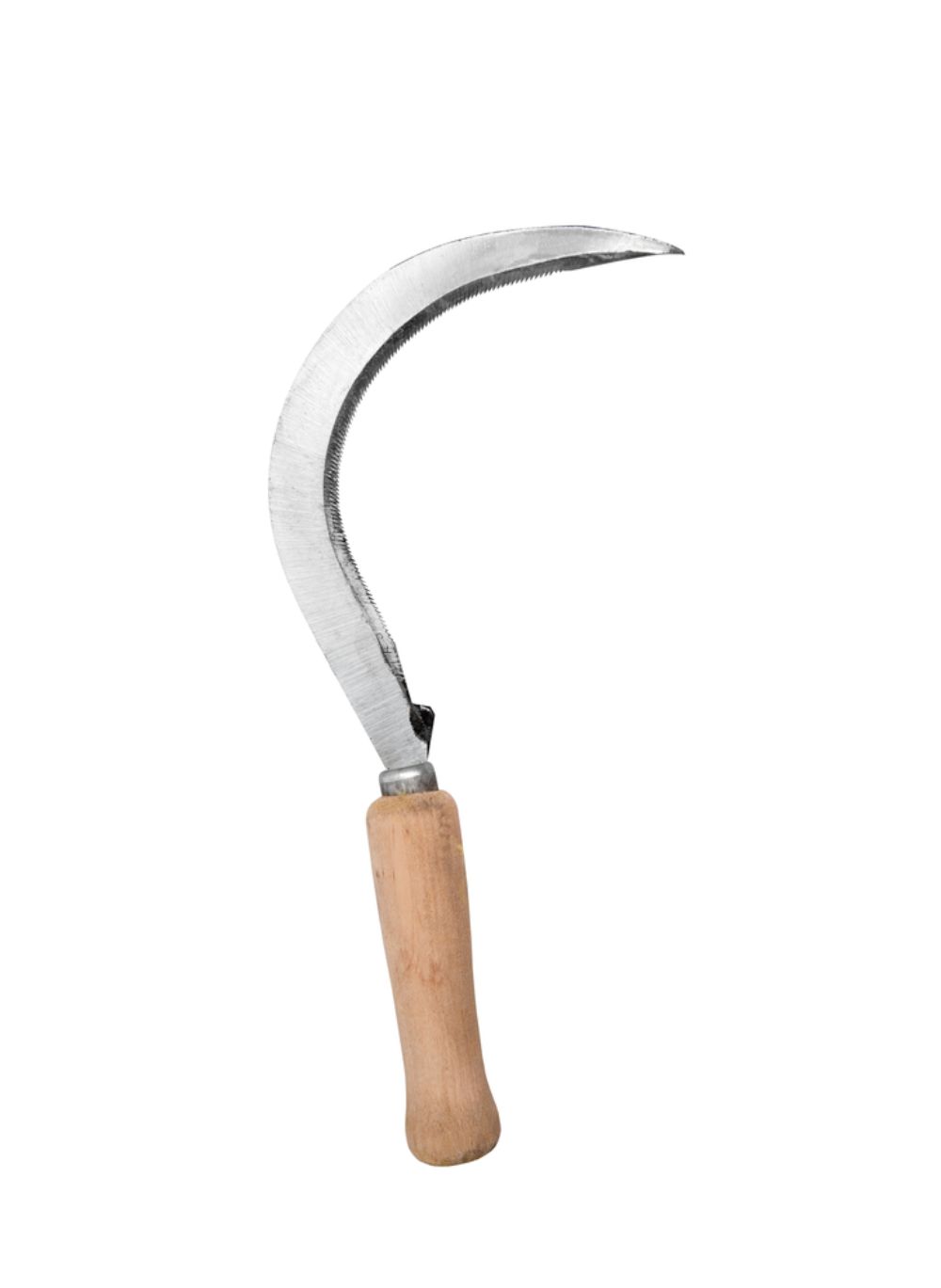 hero image for travel ideas detail