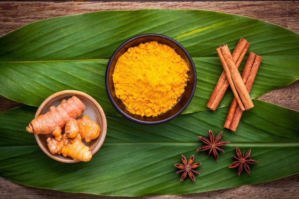 hero image for travel ideas detail