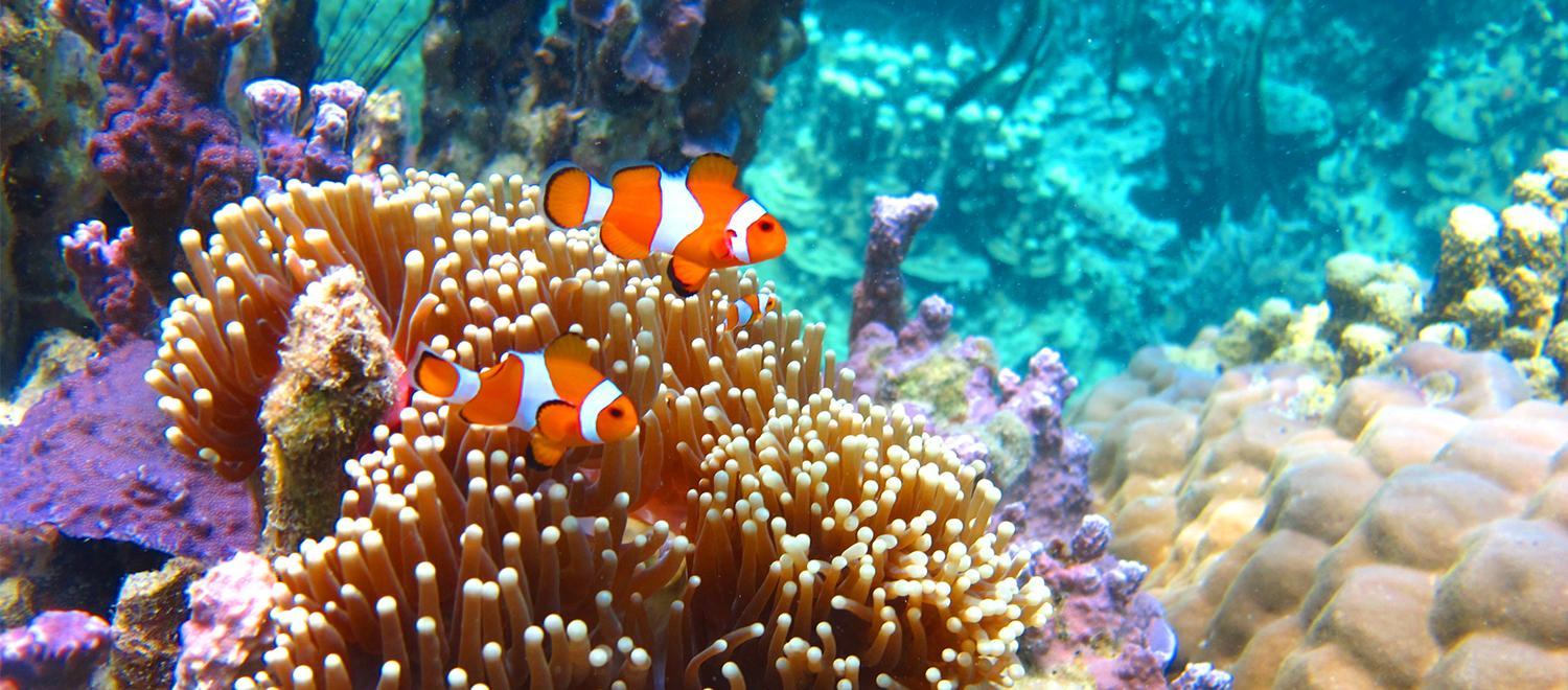 hero image for travel ideas detail