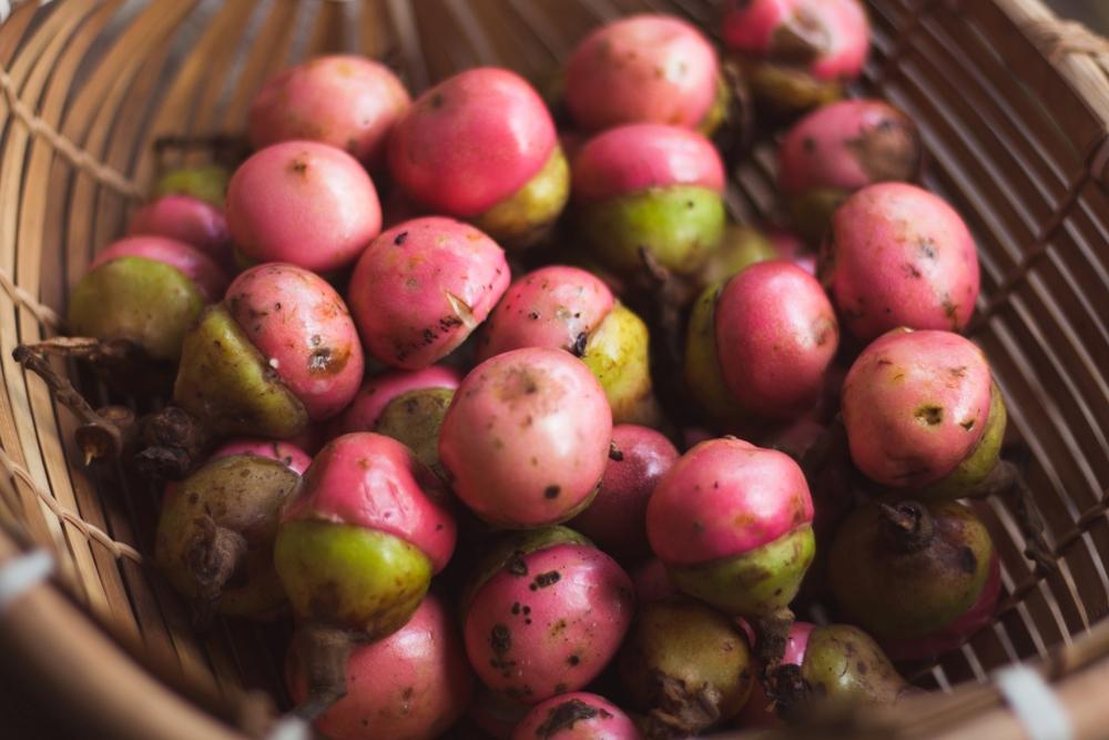 hero image for travel ideas detail