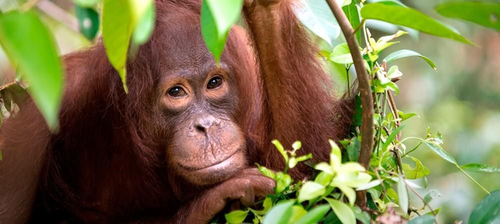 hero image for travel ideas detail