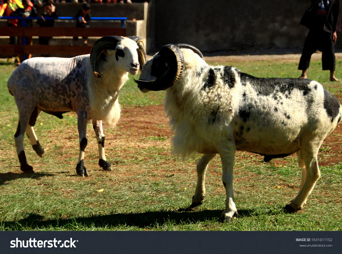 hero image for travel ideas detail