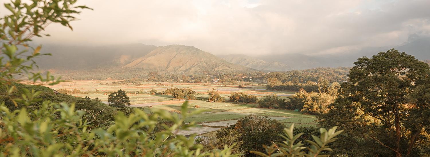 Full of Potential: Here Are 5 Fun Activities in Tetebatu Tourism Village, NTB