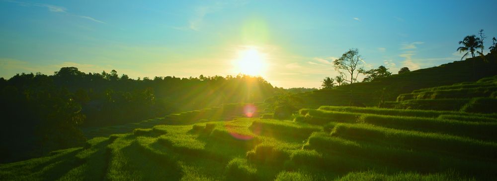 5 Activity Ideas in Bantaragung Tourism Village, Majalengka You Must Try