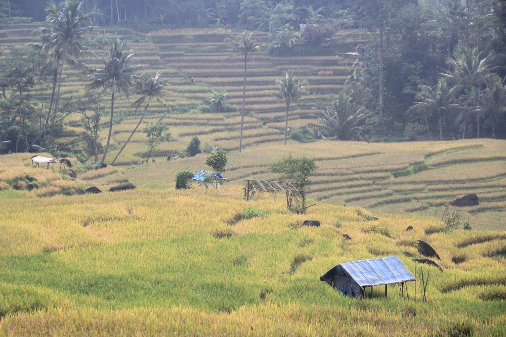 Bantaragung Tourism Village: A Hidden Paradise in Majalengka