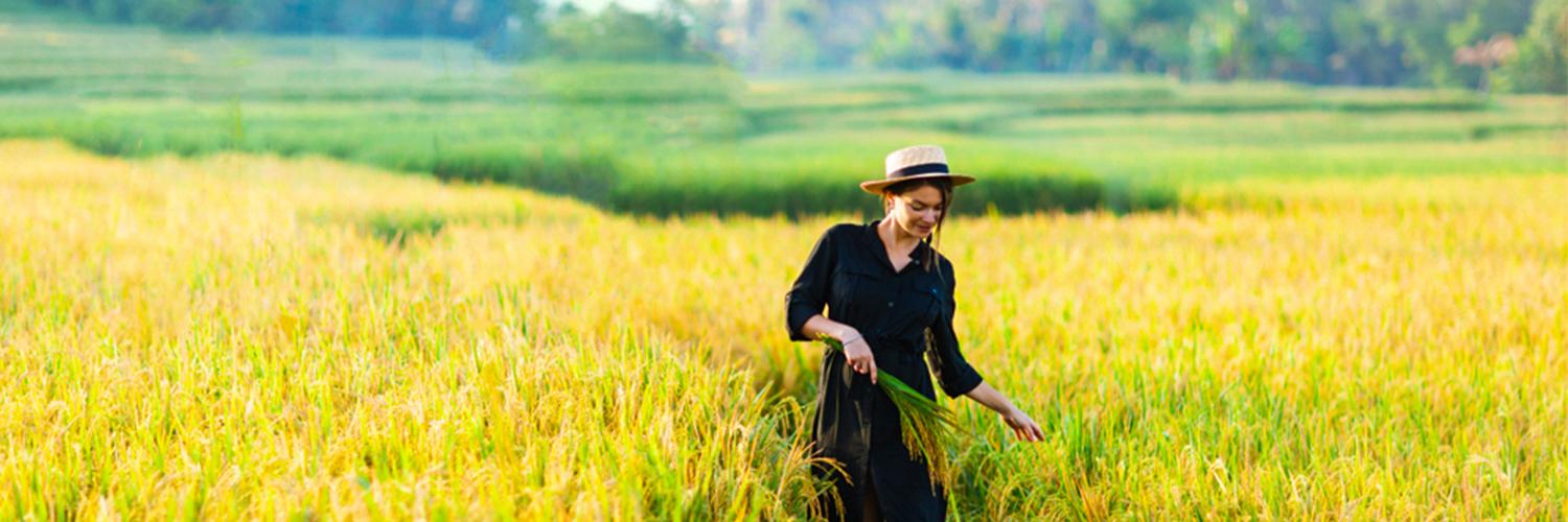 SIe wollen Ihr Wochenende auf Bali verbringen? Diese Orte müssen Sie unbedingt besuchen