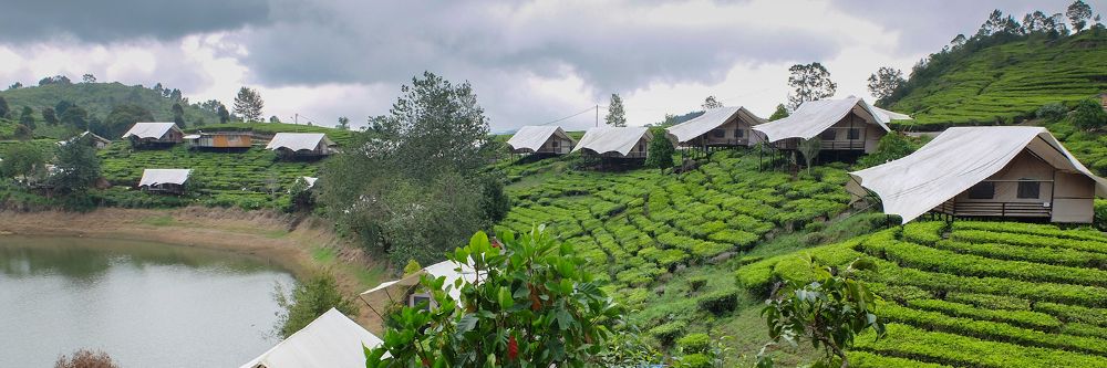 hero image for travel ideas detail