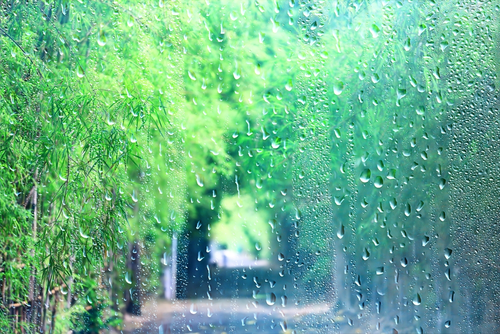 Informasi Cuaca Nataru 2025 - 2026