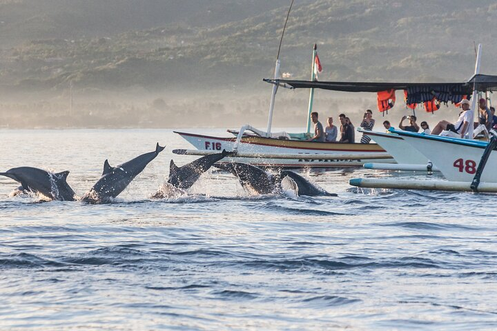 Dolphin watching from traditional boats at Lovina Beach