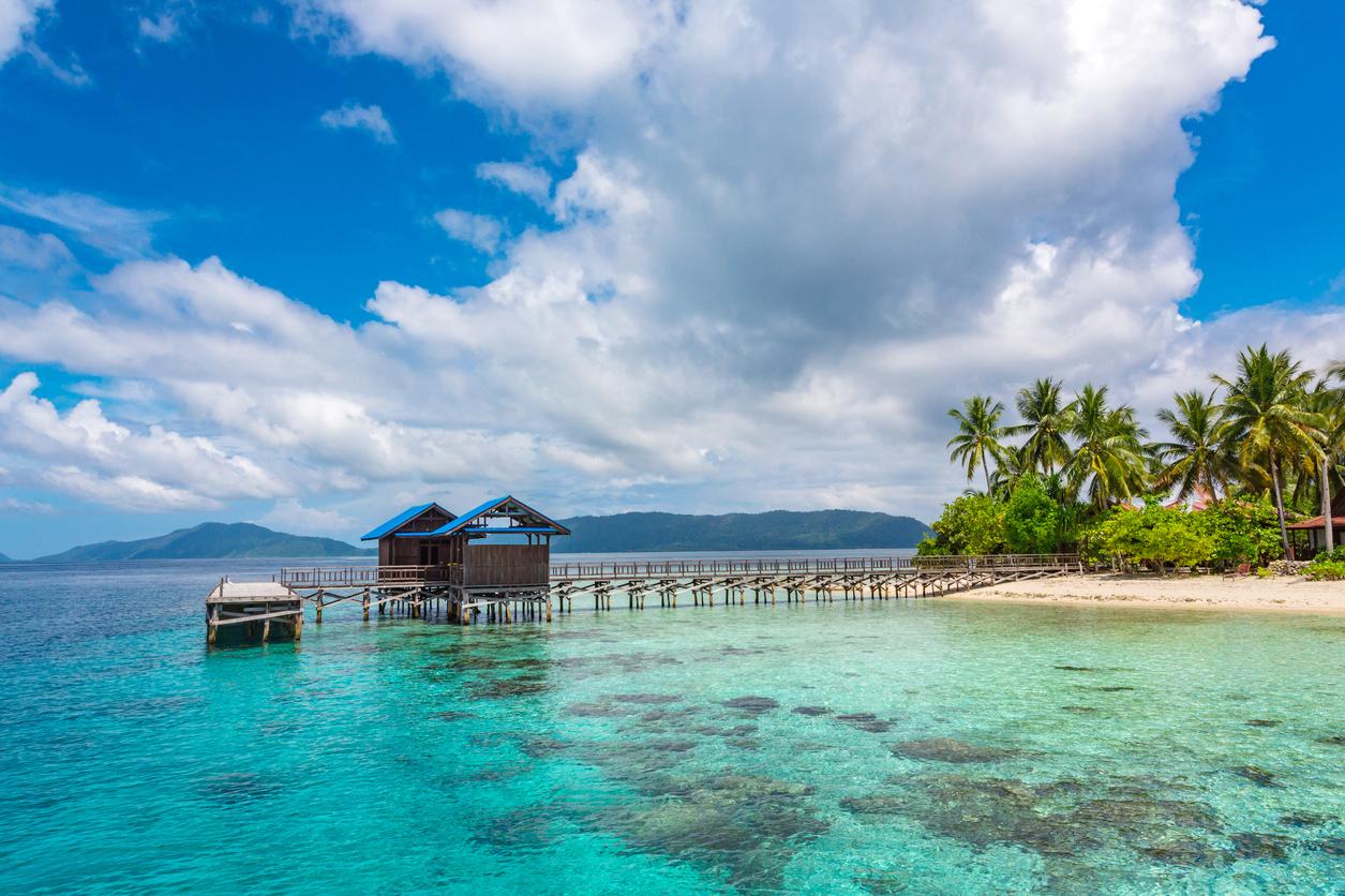 raja ampat - arborek tourism village