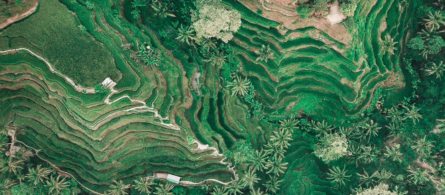 hero image for travel ideas detail