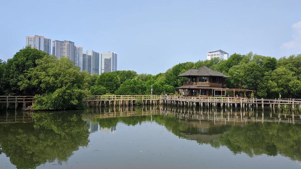 hero image for travel ideas detail