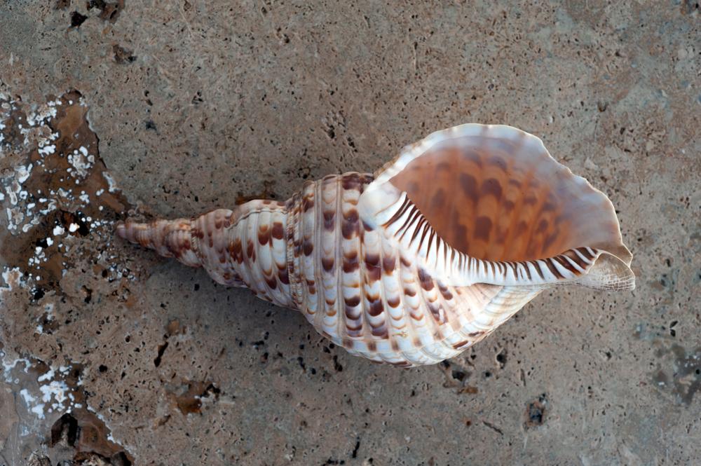 hero image for travel ideas detail