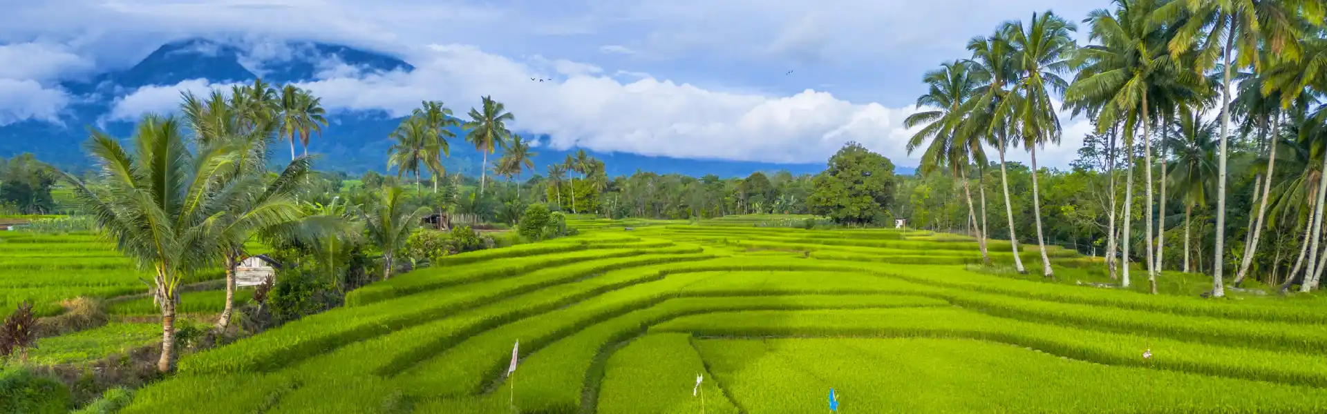 50 Local Hero Indonesia yang Mengubah Pariwisata dan Kehidupan Masyarakat (Bag.1)