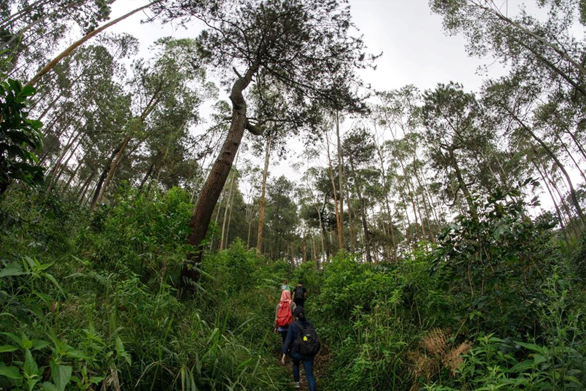 12 Inspiring Fit-Cation Escape You can Enjoy in Bandung