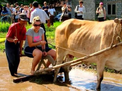 KALIURANG on the slopes of sacred held MERAPI VOLCANO 