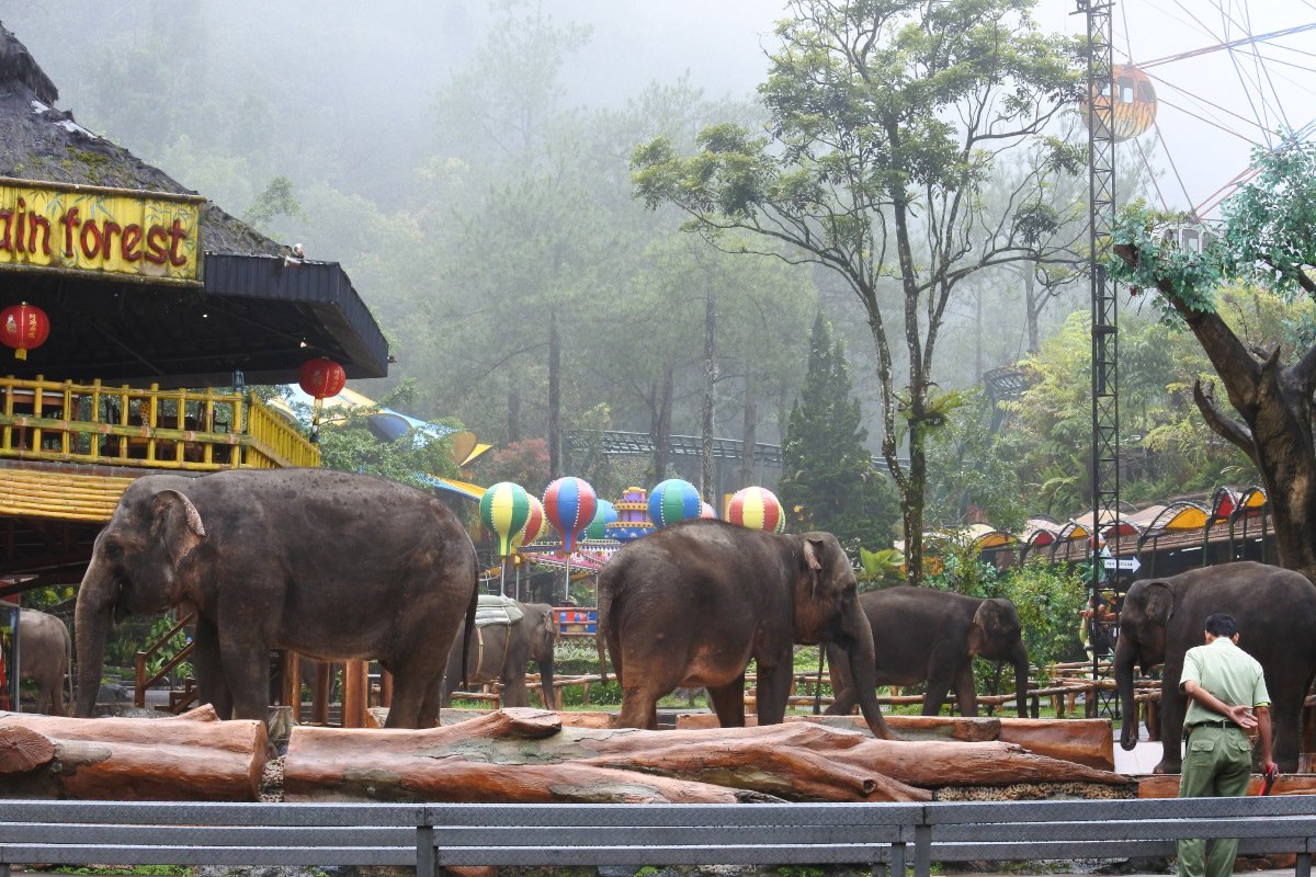 Destinasi sekitar Desa Wisata Batulayang, Taman Safari Cisarua