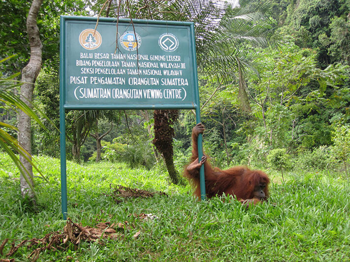 Finding Love with Your Partner at These Back to Nature Spots in North Sumatera