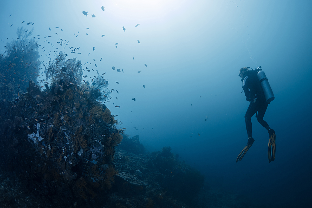 Scuba diving, olahraga air untuk melihat surga bawah laut