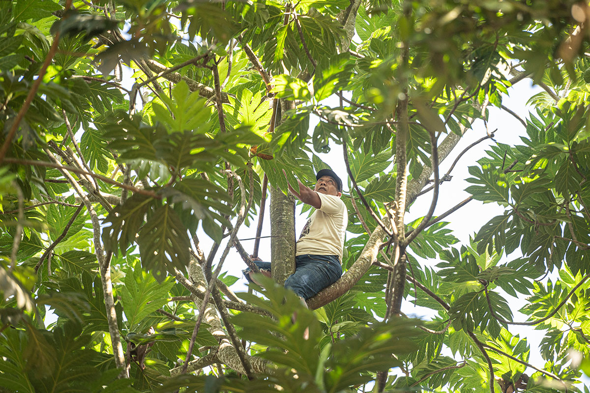 tempat wisata di tangerang