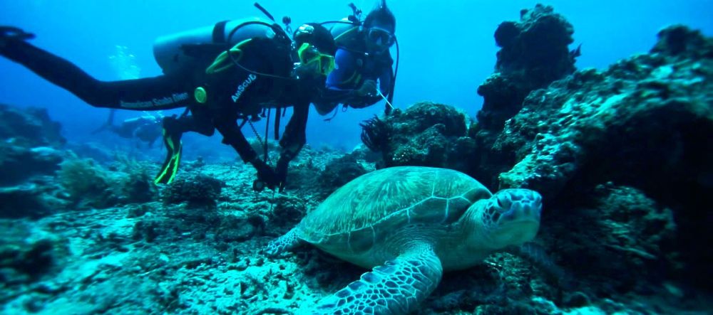 Follow the Action on Gili Trawangan