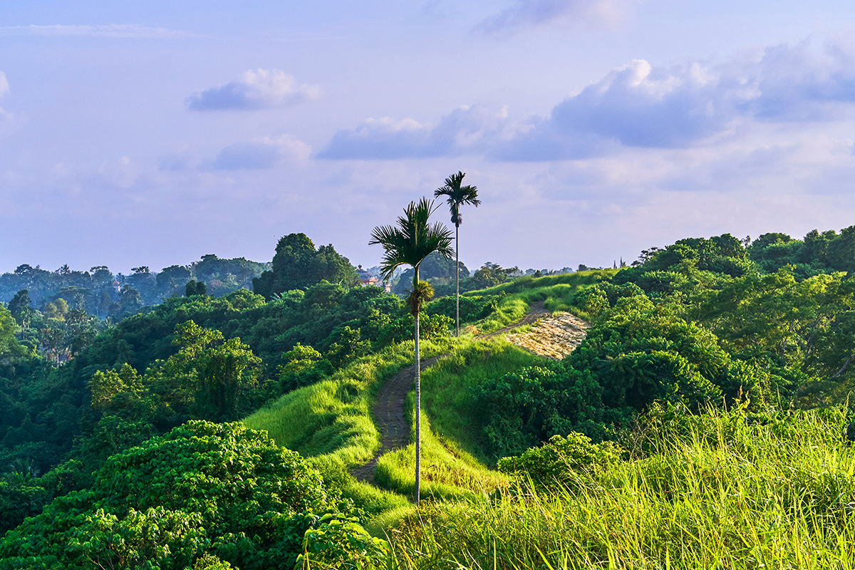 Bukit Campuhan, Ubud