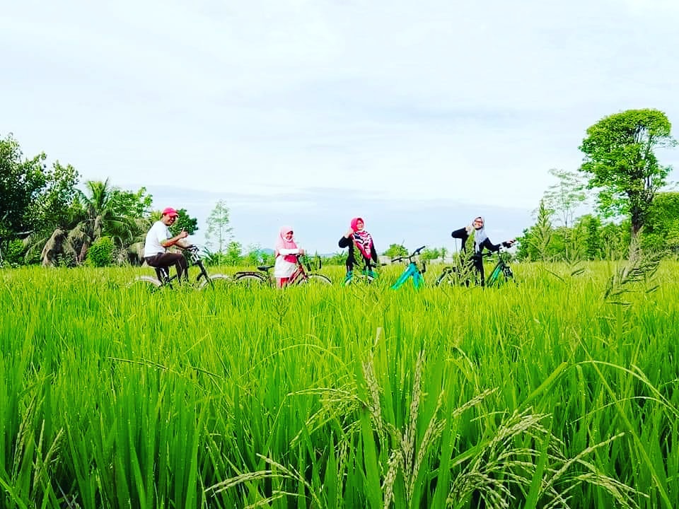 desa wisata bilebante