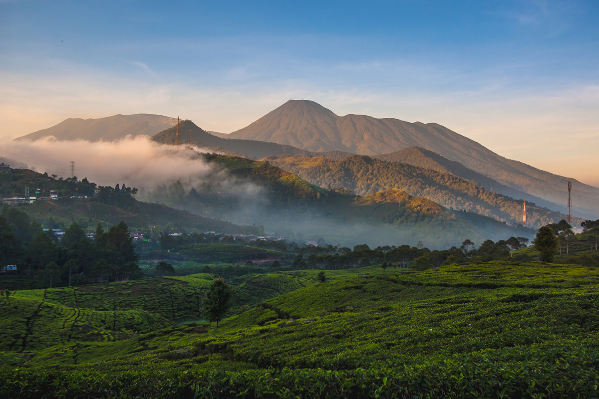 Gunung Gede di pagi hari yang ciamik