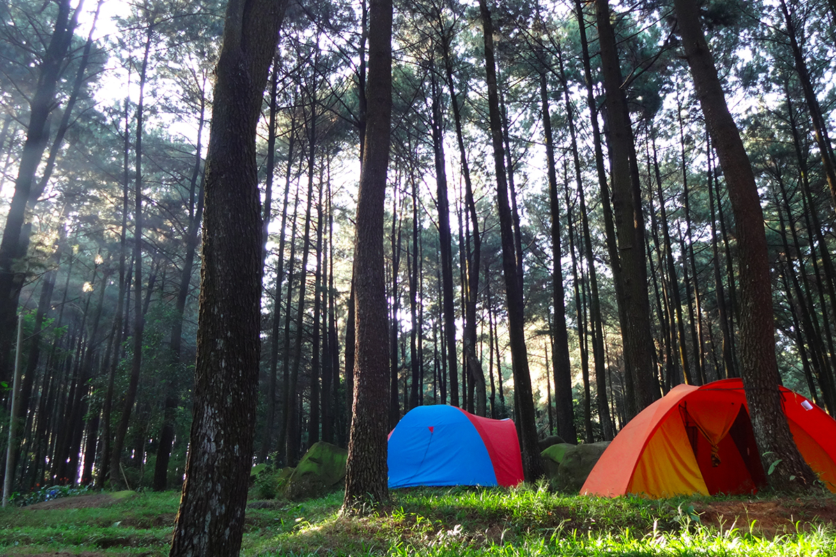 Suasana camping dengan tenda di alam terbuka
