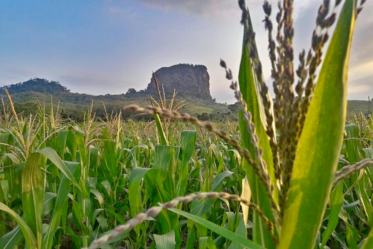 10 Exciting Family-Friendly Experiences for Your Weekend in Bandung