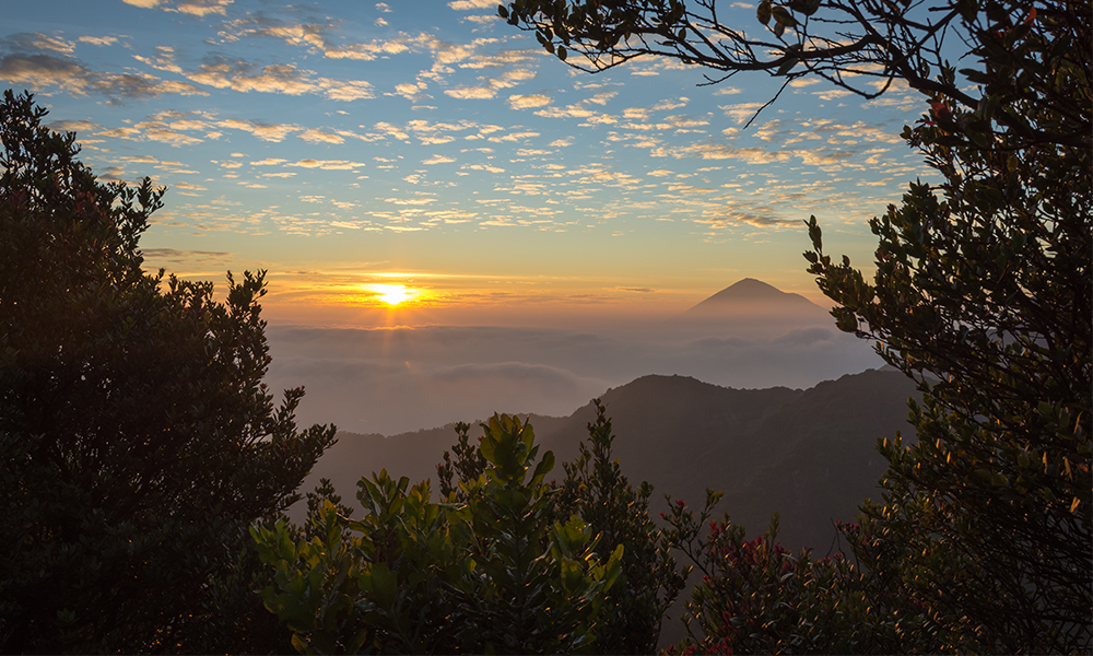 liburan ke labuan bao
