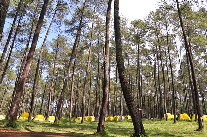 Let’s Go Glamping around Bandung!