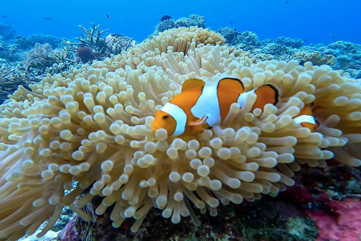 tempat wisata di tangerang