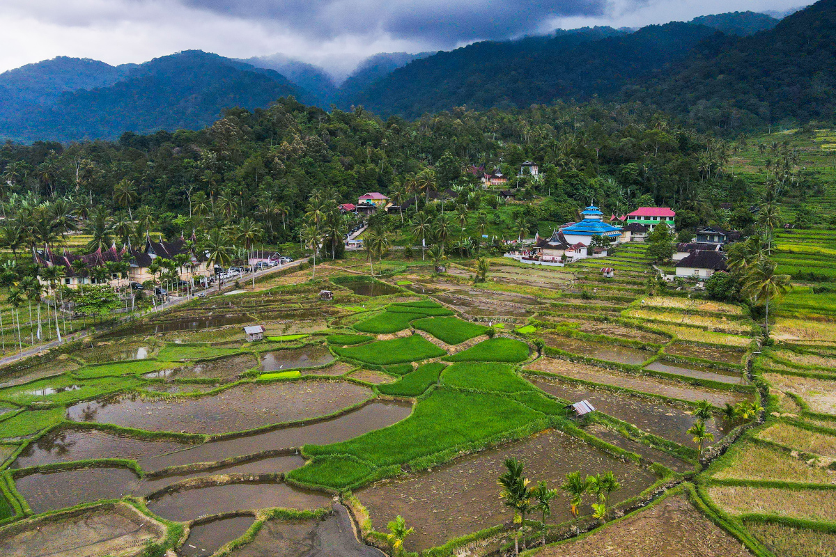 Tambah Pengalaman Wisatamu dengan Berkunjung ke Desa Wisata Sungai Batang Sumatera Barat