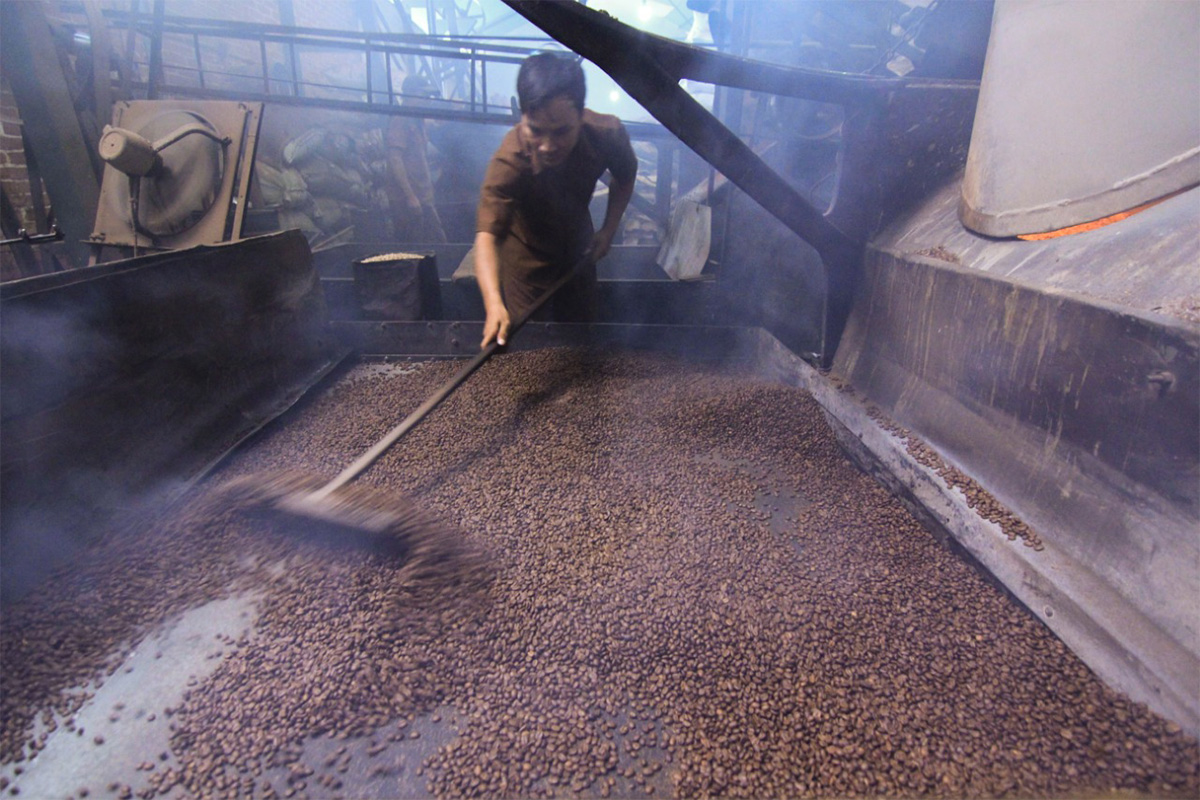 Pembuatan Kopi Aroma, Kopi Legendaris di Masa Kini