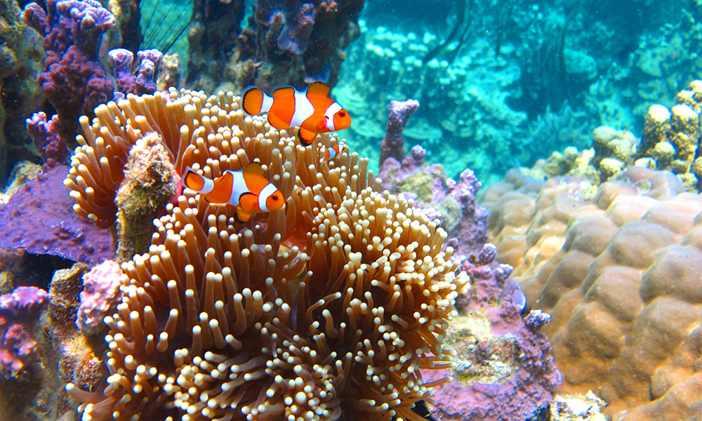 liburan ke labuan bao