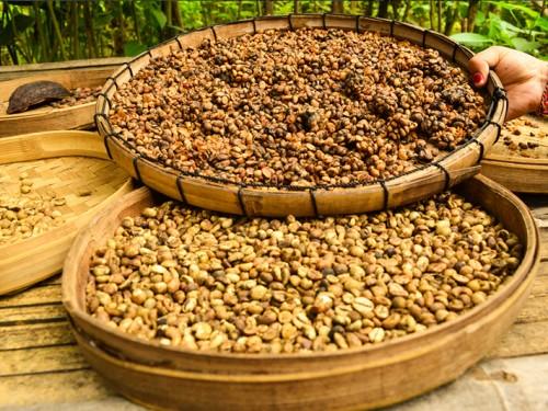 Telemung: Where the Heritage Lives in Banyuwangi