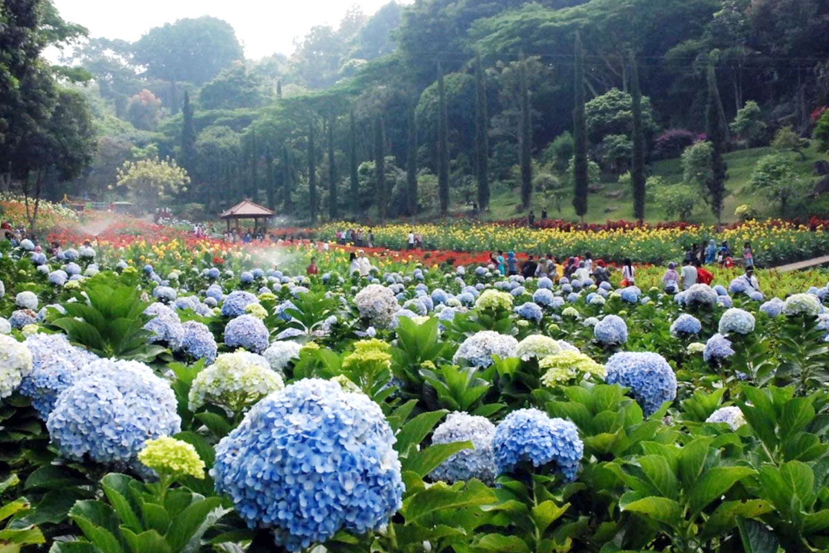 在万鸦老享受12种终身冒险活动