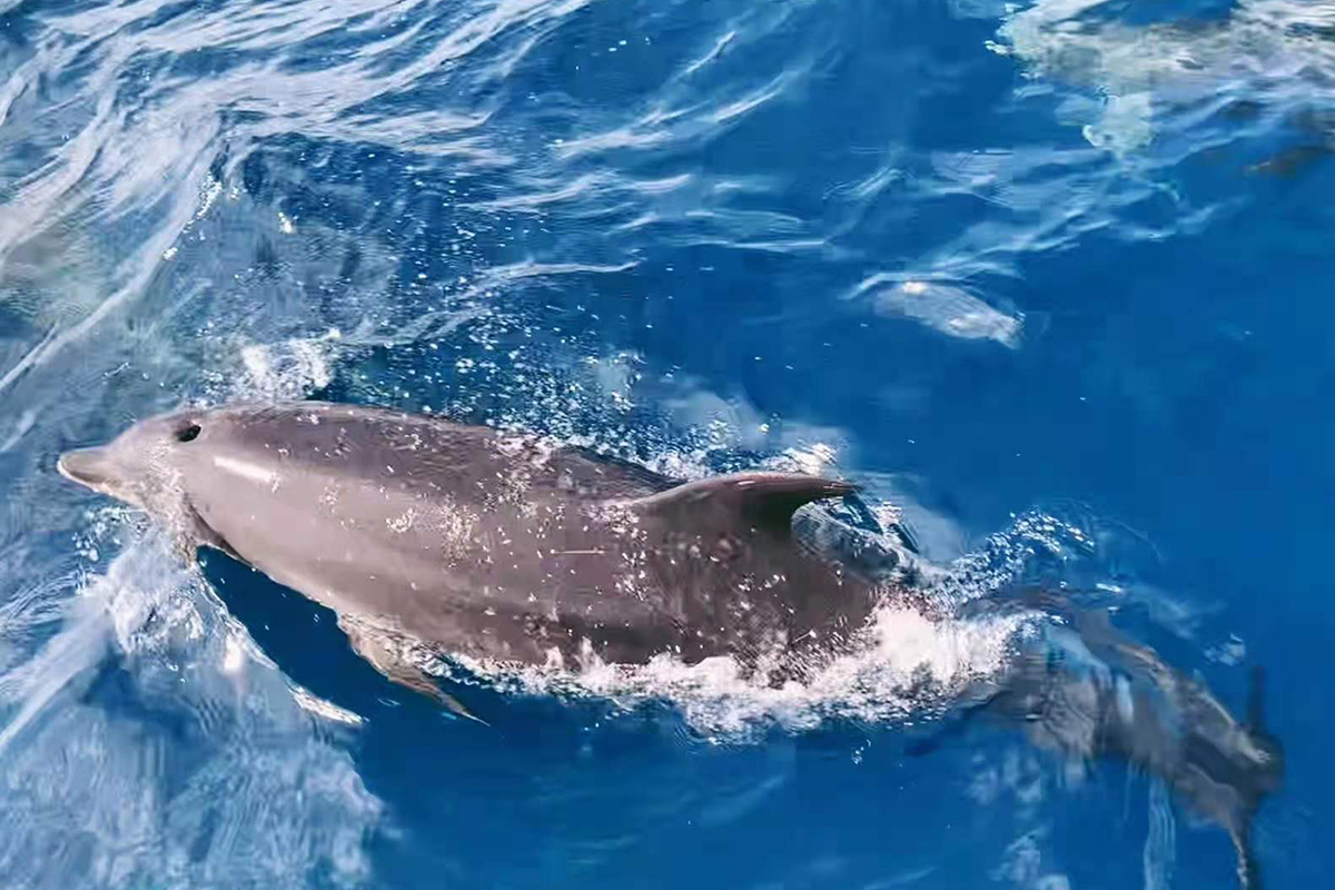 探秘火山与蔚蓝 走进奇幻仙境美娜多