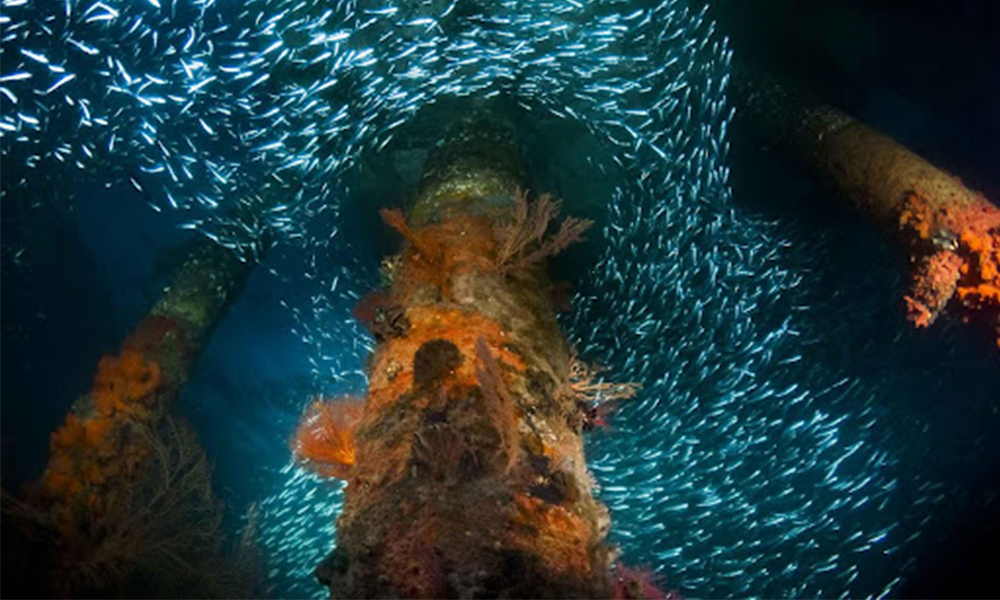 liburan ke labuan bao