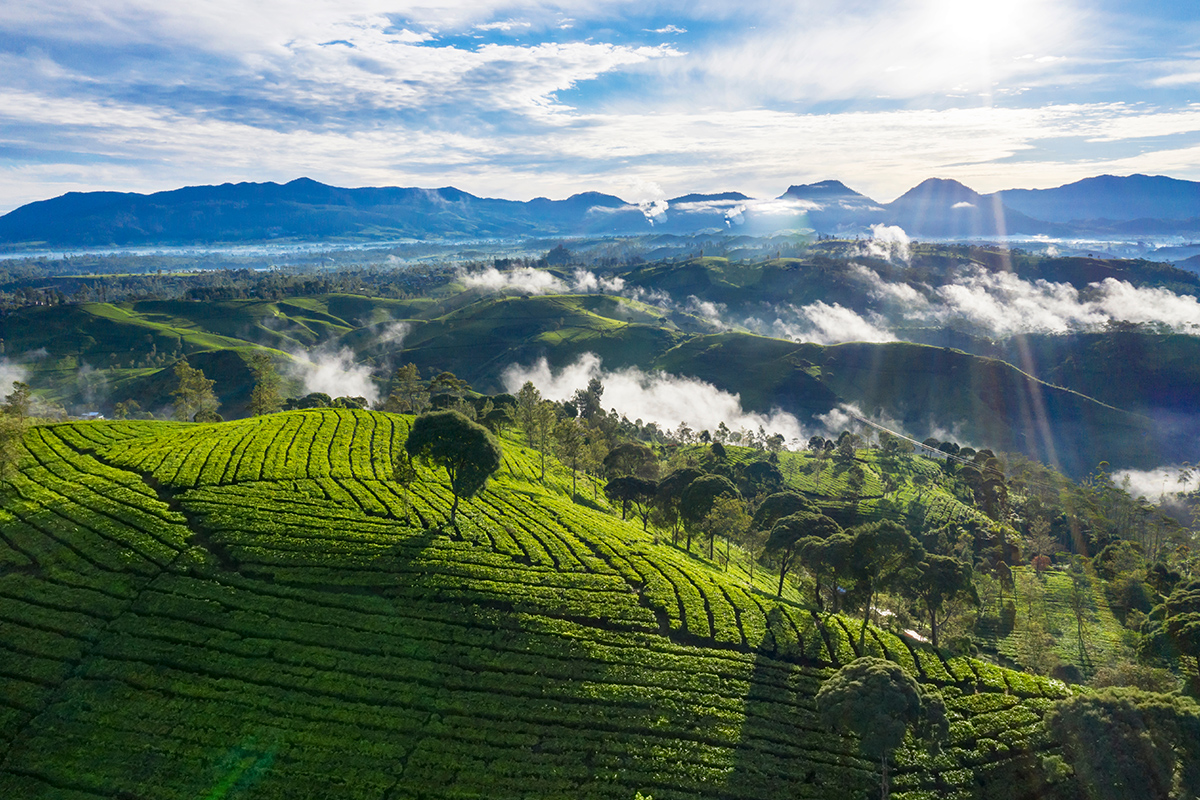 5 Backpacking Trip Ideas that You must Experience in Indonesia